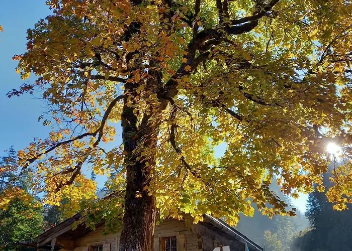 Nagel, Kreuth-enterbach Kreuth